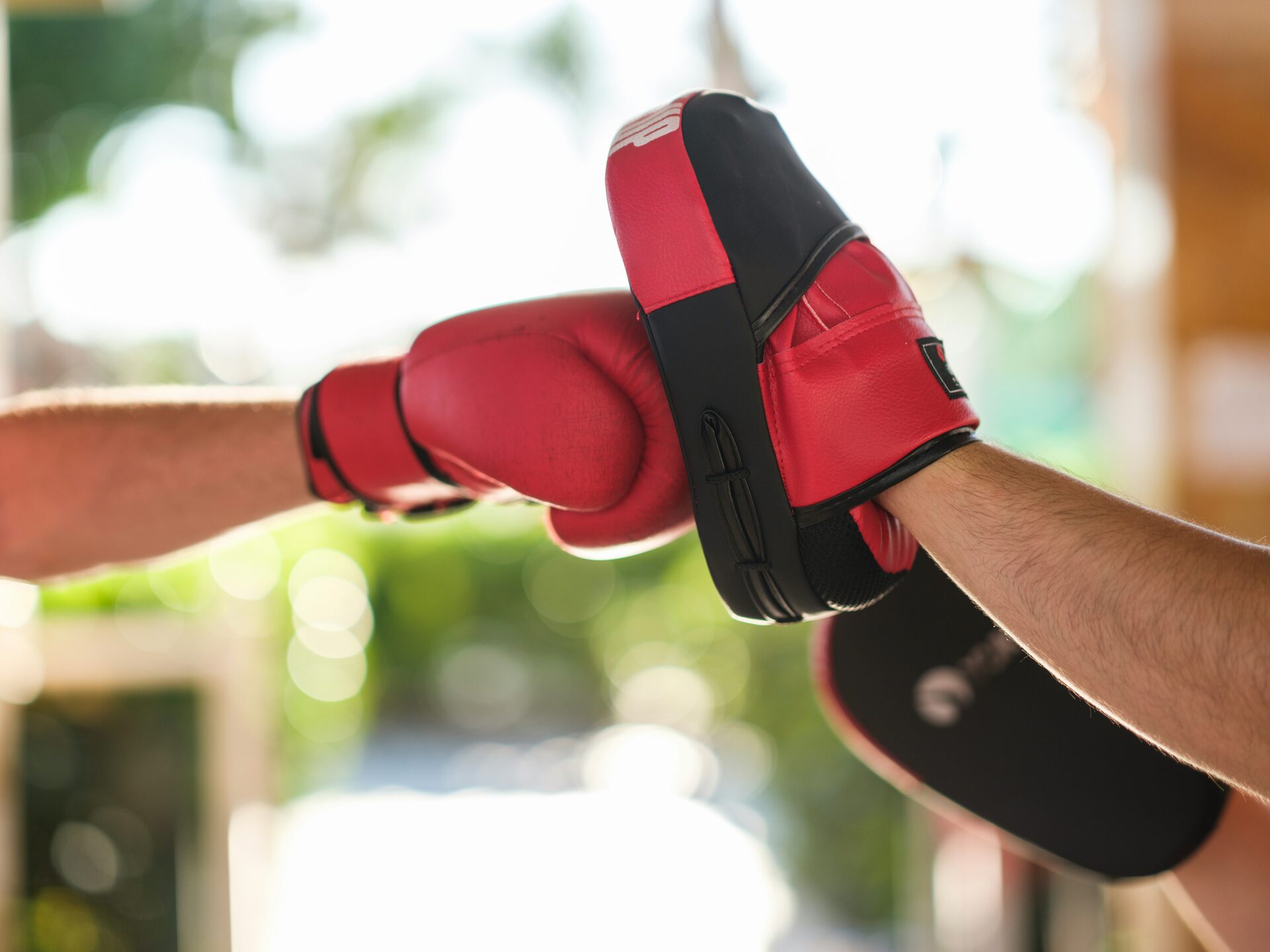 Champion Kickboxing